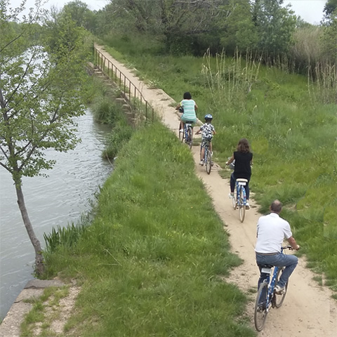 Balade 1 : Agde par le canal du midi