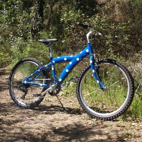 VTT enfant 20’’ ET 24’’ (Marque Arcades France)
